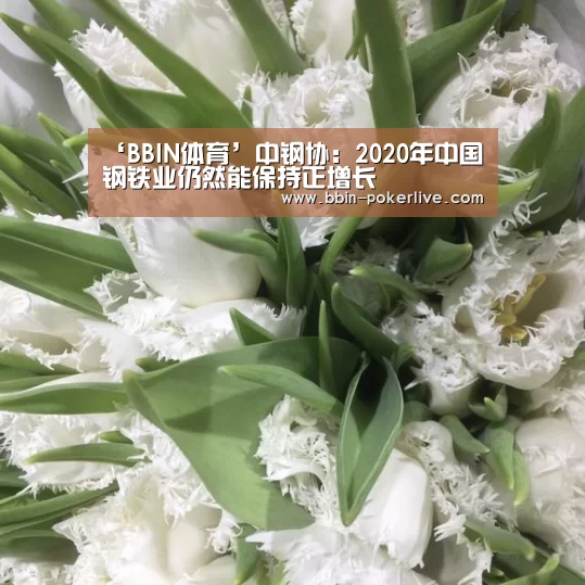 ‘BBIN体育’中钢协：2020年中国钢铁业仍然能保持正增长