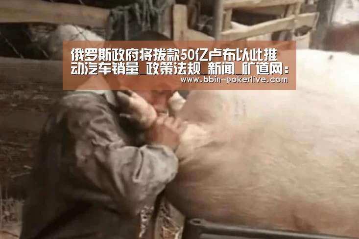BBIN电竞