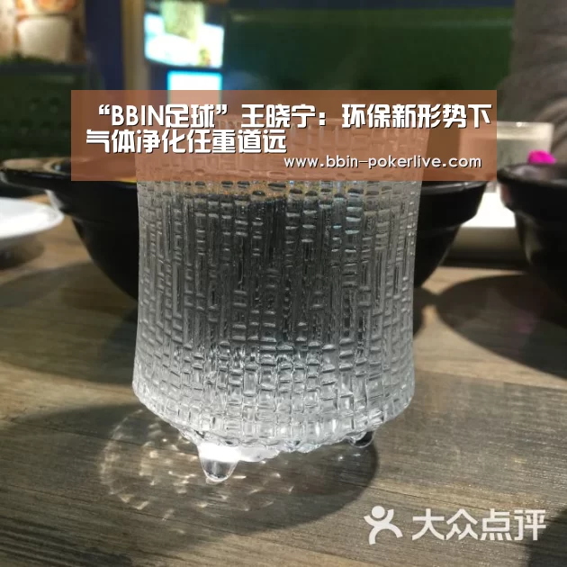 “BBIN足球”王晓宁：环保新形势下气体净化任重道远